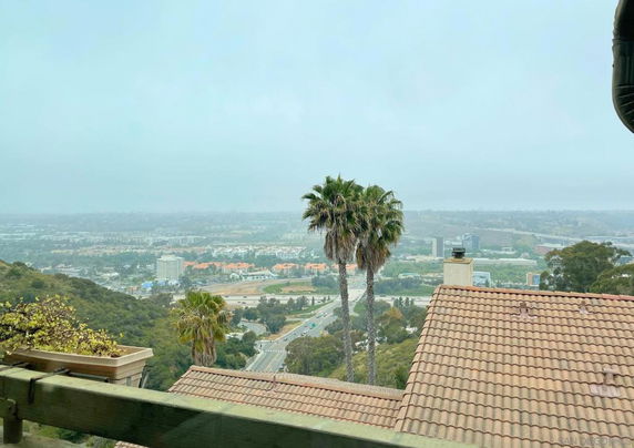 Panoramic view of cityscape and landscape with rooftops and palm trees in the foreground.
