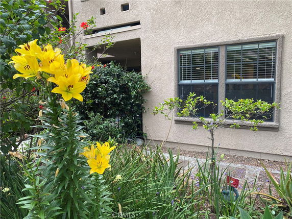 Front view of a house with a window and garden flowers.