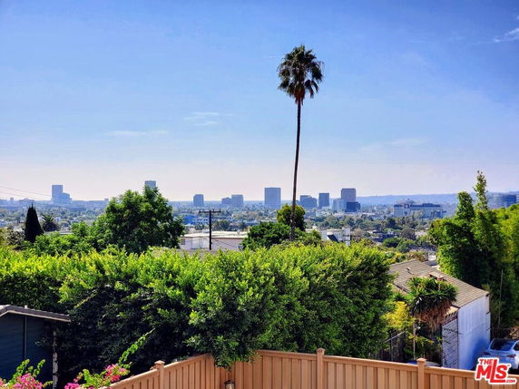 Panoramic view showing a cityscape with a tall palm tree and surrounding greenery.