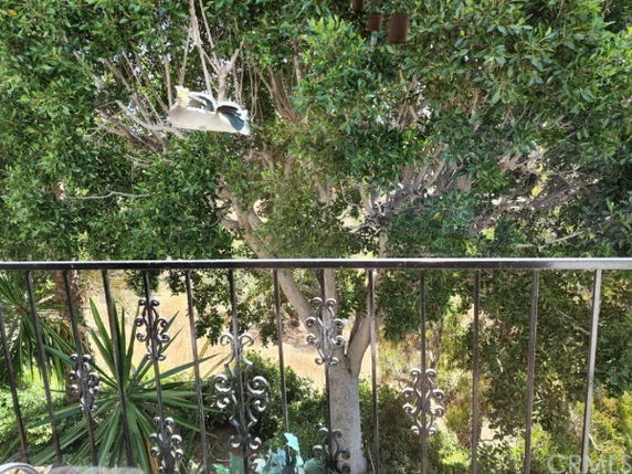 View of a tree and greenery seen through decorative balcony railing.