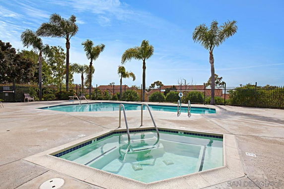 Outdoor swimming pool area with a main pool and a hot tub surrounded by palm trees.