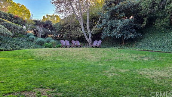 Outdoor area with green lawn and several chairs arranged around a tree.