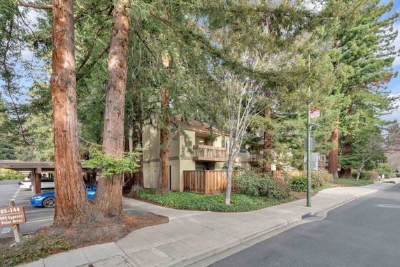 Front view of a multi-story building surrounded by tall trees with a sidewalk and parking area nearby.