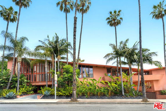 Front view of a contemporary multi-story building with large windows and surrounded by palm trees.
