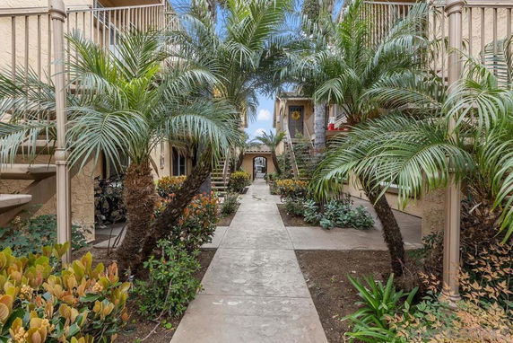 Pathway view between two residential buildings with palm trees and plants.