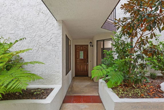 Front entrance of a house with a wooden door and adjacent plants.