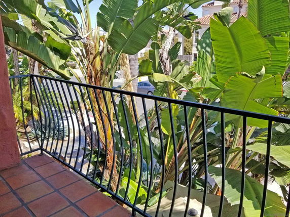 View from a balcony with black railing overlooking palm trees and a street.