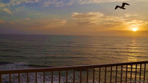Wide angle view of the ocean at sunset with a seagull flying above.
