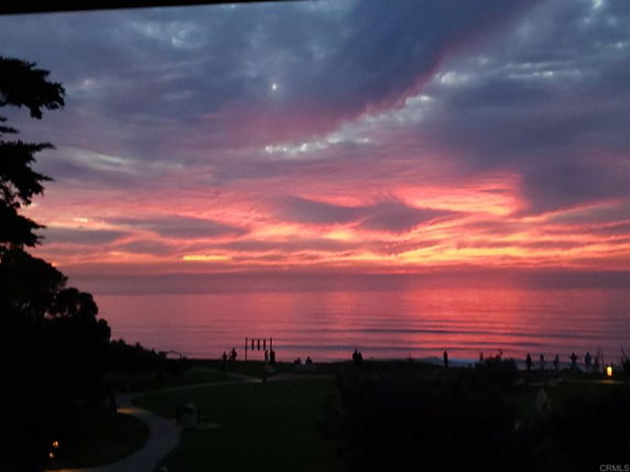 View of ocean and sunset with silhouettes of people and trees in the foreground.