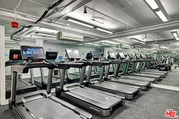 Interior view of a gym with multiple treadmills and large mirrors on the wall.