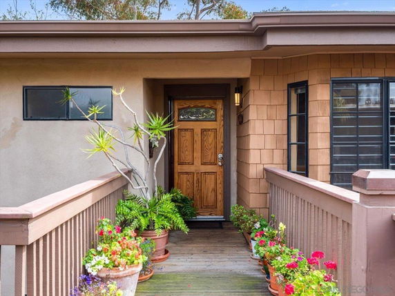 Front view of a house with a wooden door and decorative plants.