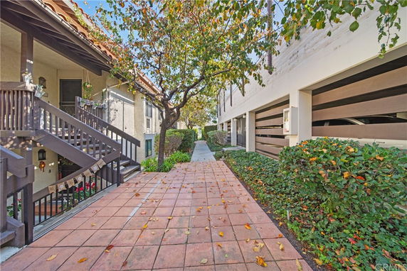 Pathway with trees and surrounding buildings