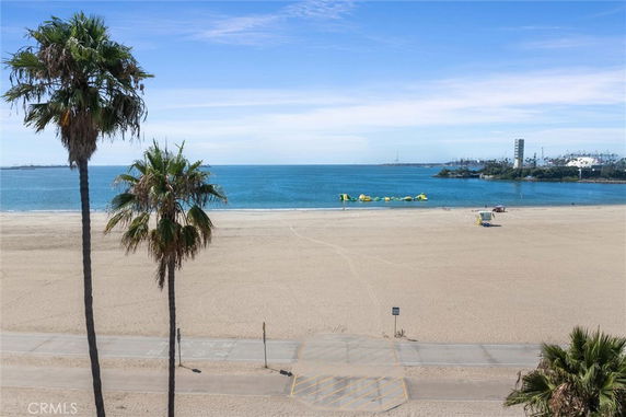 Panoramic view of a sandy beach with palm trees and ocean in the background.