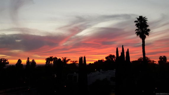 Panoramic view of a sunset with trees silhouetted against a colorful sky.