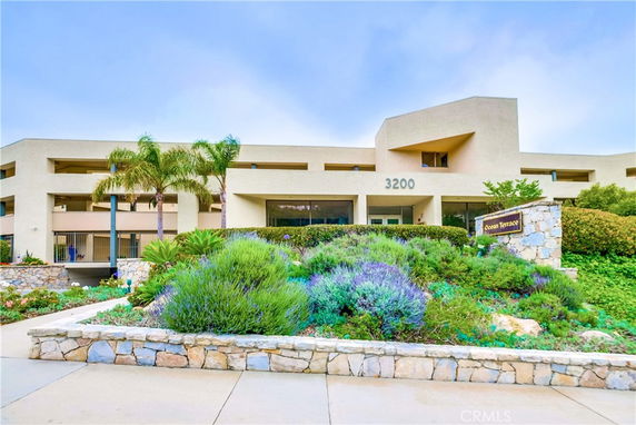 Front view of a contemporary multi-story building with landscaping and palm trees.