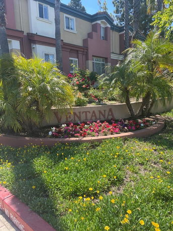 Community Image