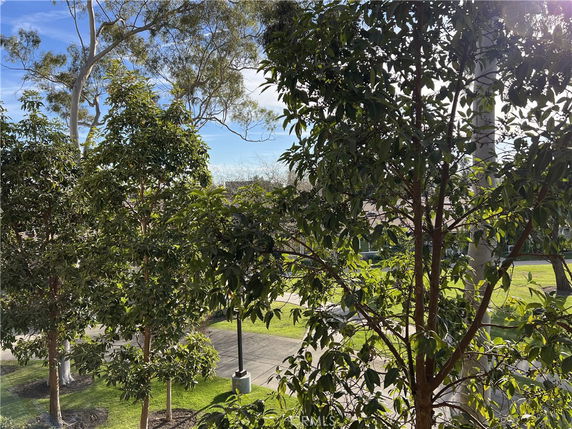 View of trees and a pathway in an outdoor park area.