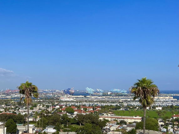 Wide view of a coastal cityscape with buildings, palm trees, and cranes near the waterfront.
