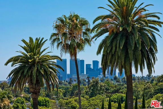 Panoramic view of a city skyline with tall buildings and palm trees in the foreground.