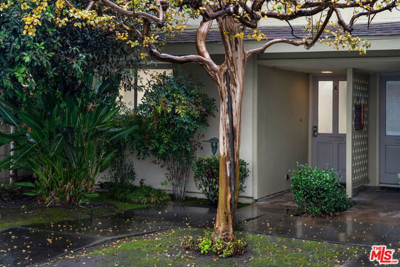 Front view of a house entrance with a tree and bushes.