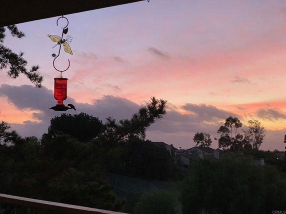Panoramic view of a sunset with a hummingbird feeder and tree silhouettes.