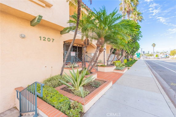 Front view of a building with a neatly landscaped entrance and palm trees.