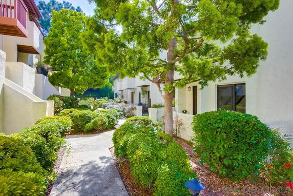 Front view of a building with trees and shrubs lining a walkway.