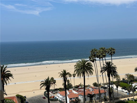 Wide-angle view of a beach with palm trees and ocean in the background.