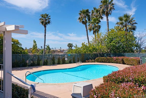 Outdoor swimming pool with surrounding plants and palm trees.