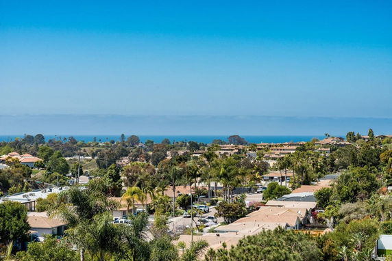Wide view of a residential area with houses, trees, and the ocean in the distance.