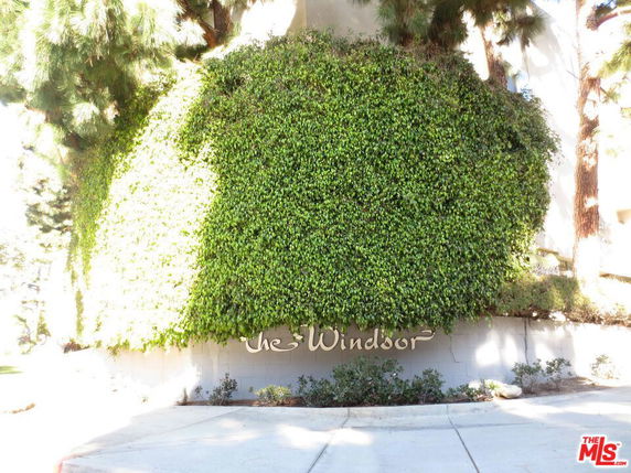 Front view of a building with dense green foliage covering the exterior wall.