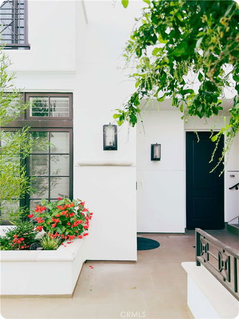Front view of a modern house entrance with windows and decorative plants.