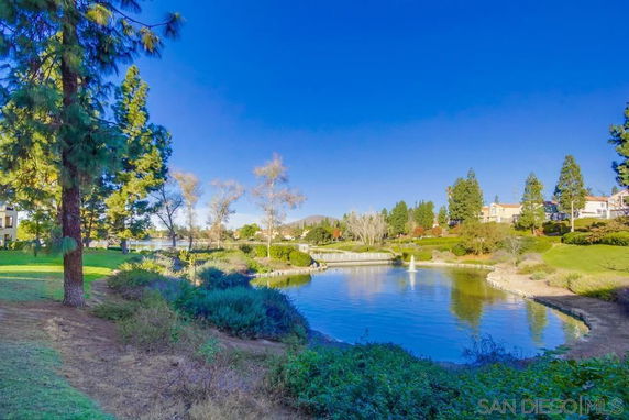 Scenic outdoor view with a pond, trees, and distant houses.