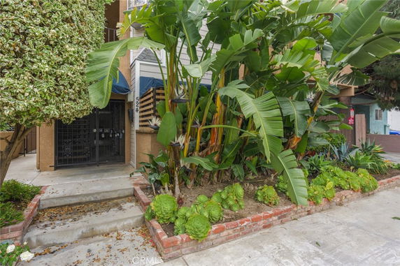 Front view of a building entrance with tropical plants and a concrete path.