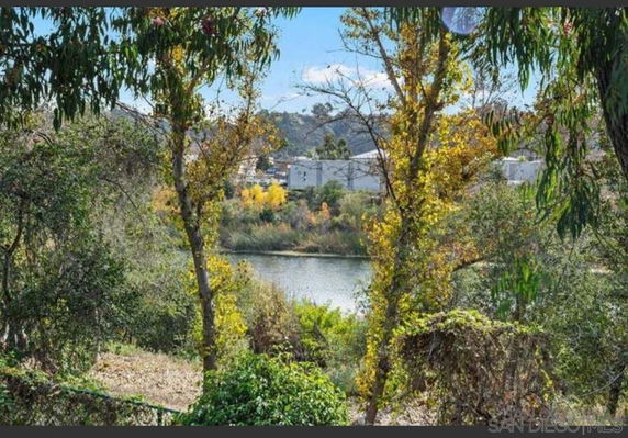 Scenic view of a river surrounded by trees and foliage.