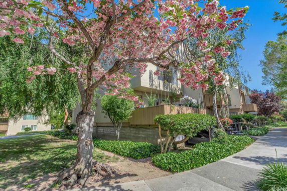 Front view of a residential building with balconies and flowering trees.