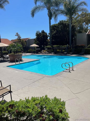 Outdoor swimming pool surrounded by lounge chairs and palm trees.