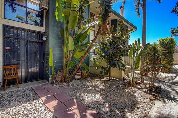 Exterior view of a house with plants and a paved walkway.