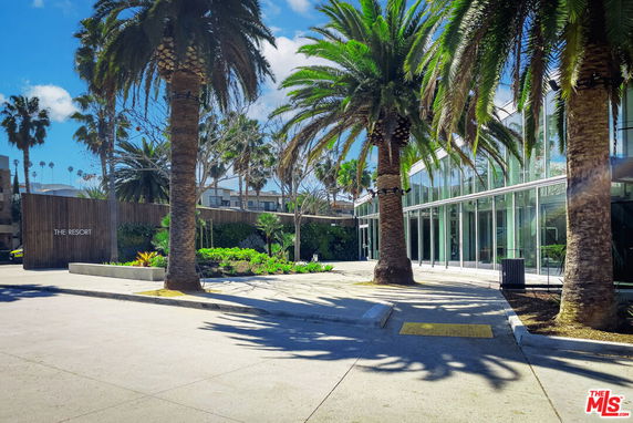 Front view of a modern building with large glass windows and palm trees.