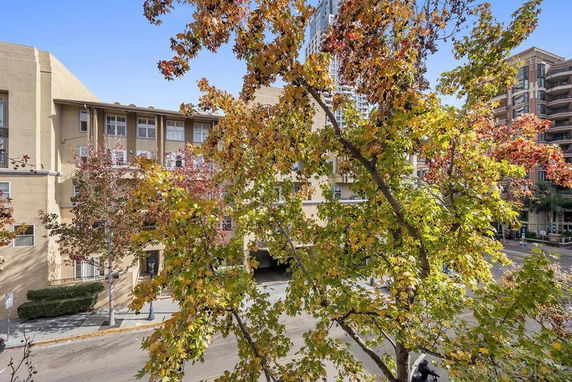 Buildings viewed from behind colorful autumn trees.