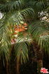 cacrmls/f481a12ca2d0522675871b2a4fa74efb.jpg?width=131&height=105&format3=webp