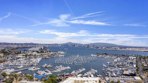 Panoramic view of a marina with numerous boats and city skyline in the background.