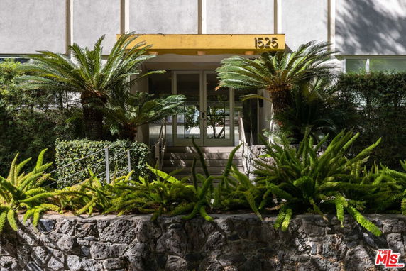 Front view of a building entrance with stairs and decorative plants.