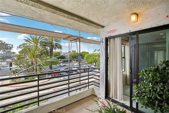Balcony view from a building showing surrounding area with palm trees and parking lot.