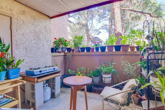 Patio area with potted plants and outdoor seating
