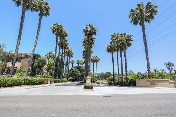 Entrance view of a residential area with tall palm trees lining the road.