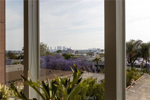 View of cityscape and foliage from a window.