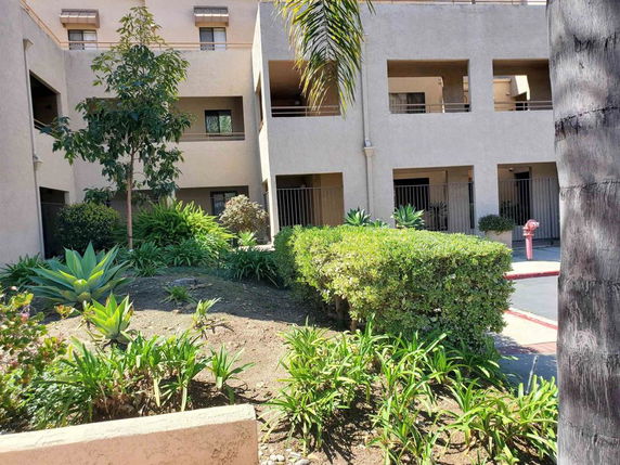 Front view of a multi-story building with balconies and surrounding greenery.