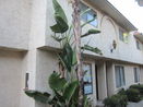 cacrmls/f7c9efeae7925ed125b715fbe5bbe30c.jpg?width=131&height=105&format3=webp