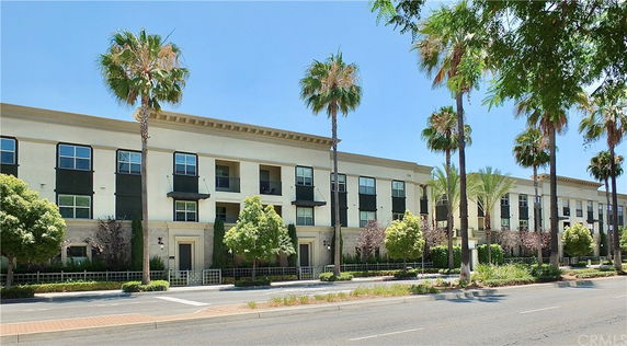Front view of a three-story residential building with palm trees lining the street.